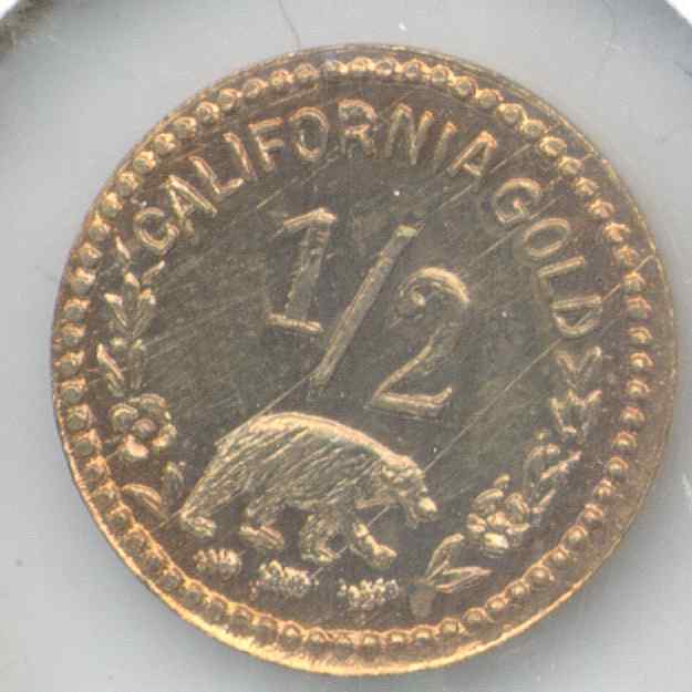 Bear13 Reverse