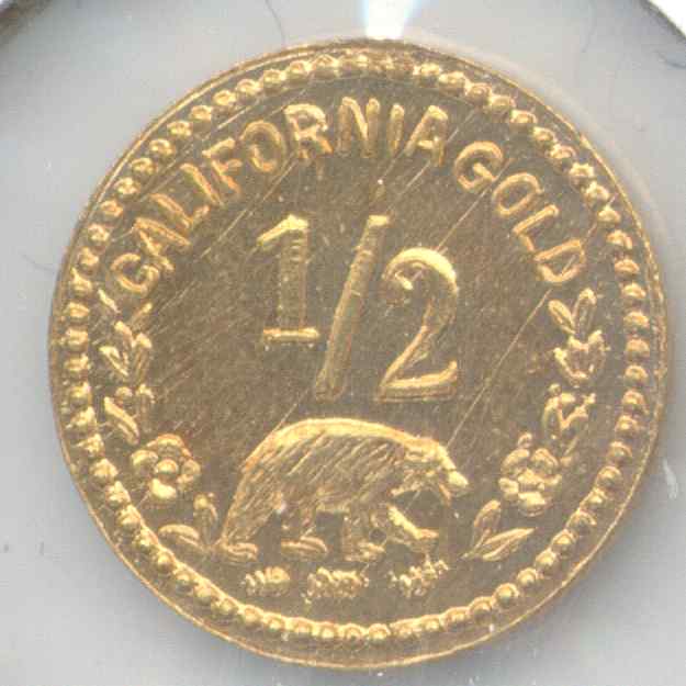 Bear13 Reverse