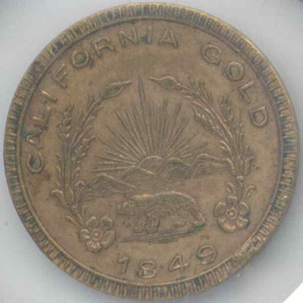 Bear5 Reverse