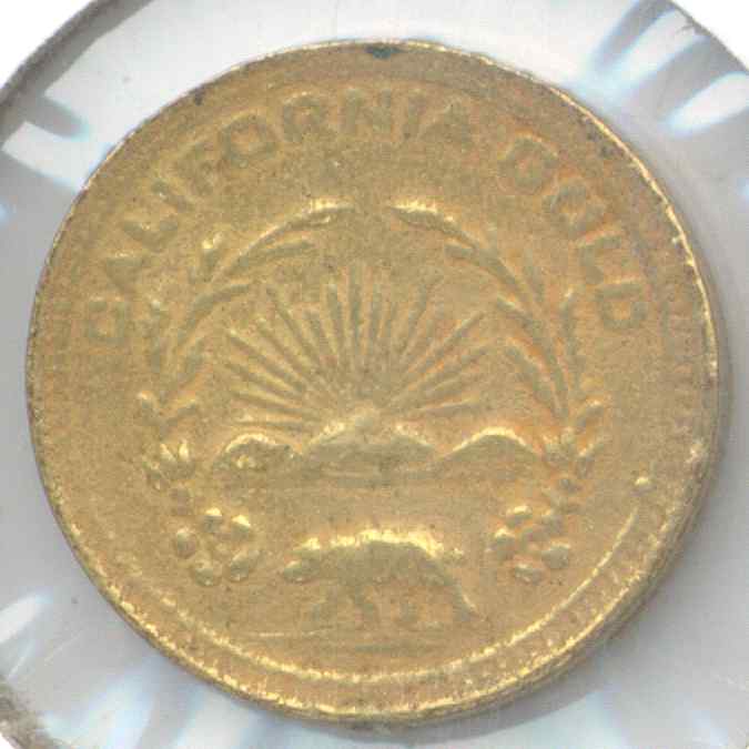 Bear5 Reverse