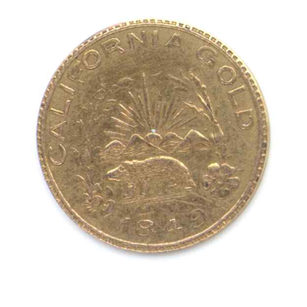 Bear5 Reverse